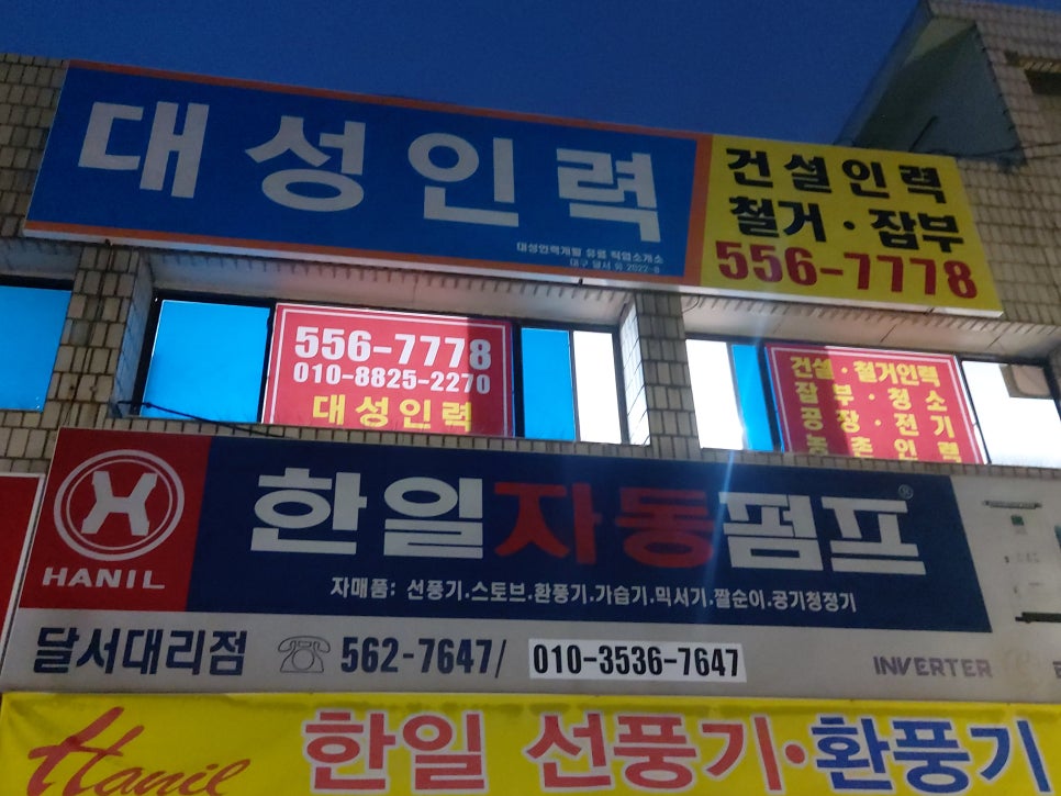 대성인력 이미지