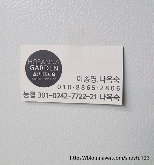 호산나꽃다육 이미지