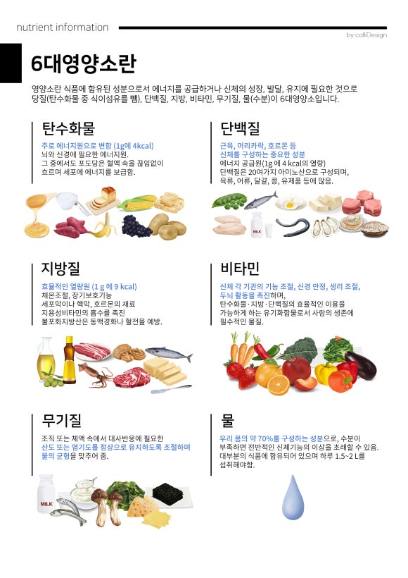 한국인의 영양섭취기준과 6대영양소 : 네이버 블로그