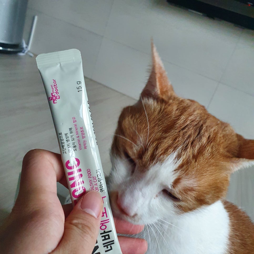 네바에 이미지