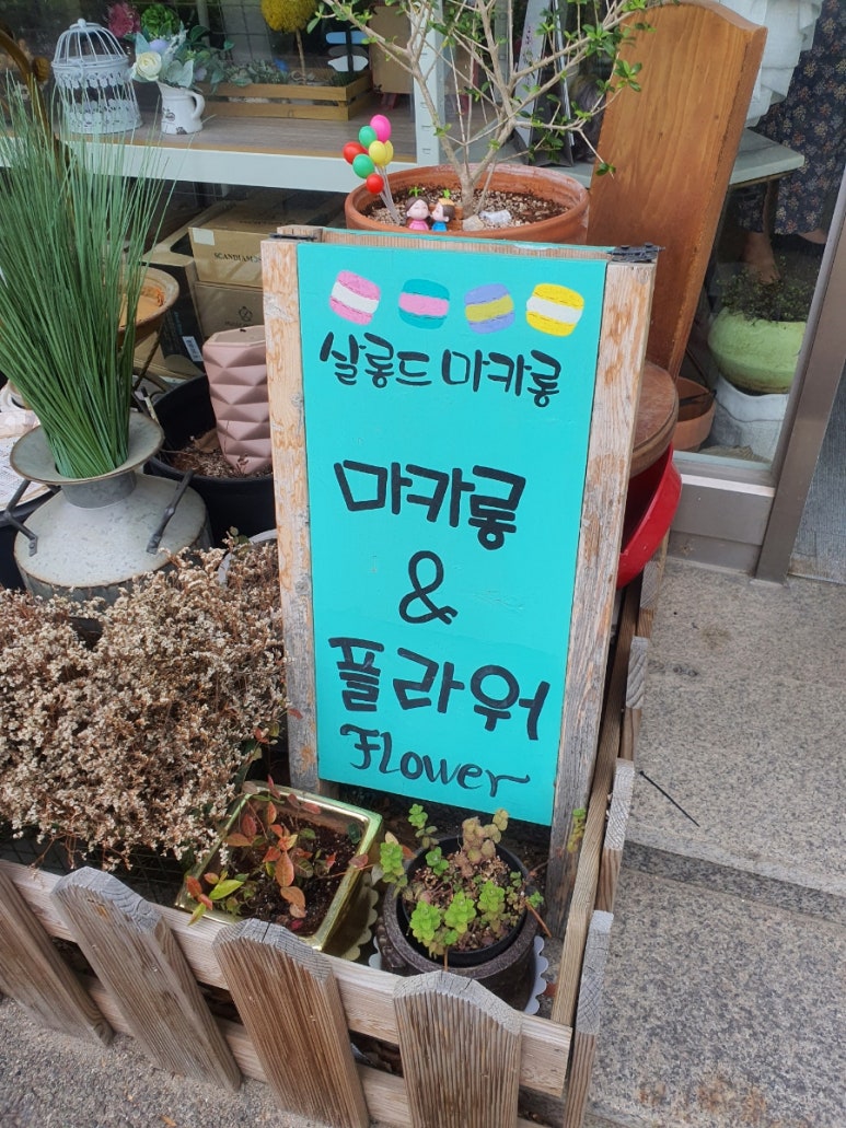 살롱드마카롱&플라워 이미지