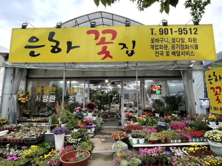 은하꽃집 이미지