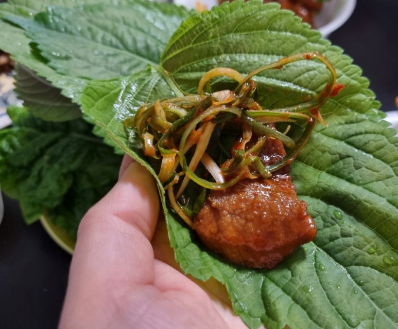 김준호의대단한갈비제주 이미지