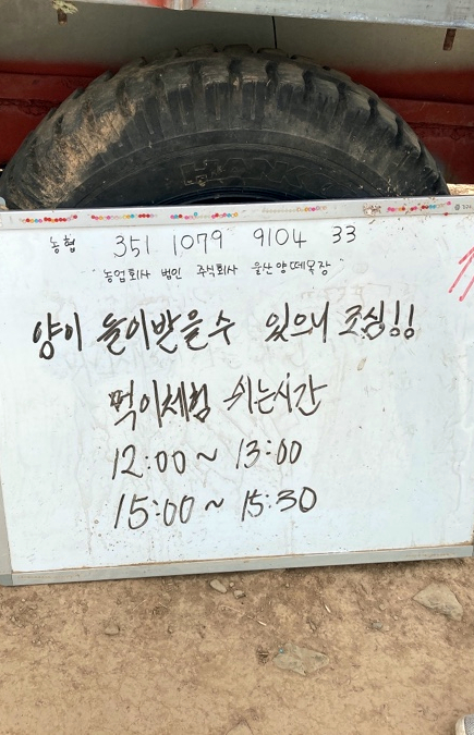 법인울산양떼목장 이미지