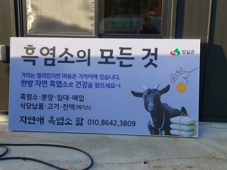 임실흑염소자연애 이미지