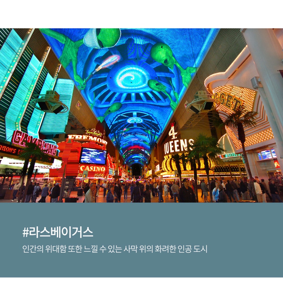 블랙베어투어 이미지