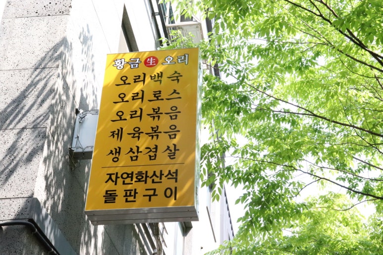 황금생오리 이미지