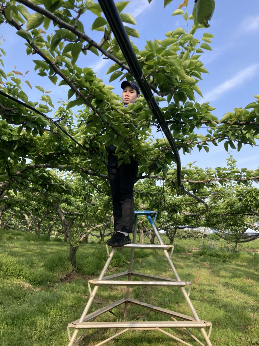 산포인력대기소 이미지