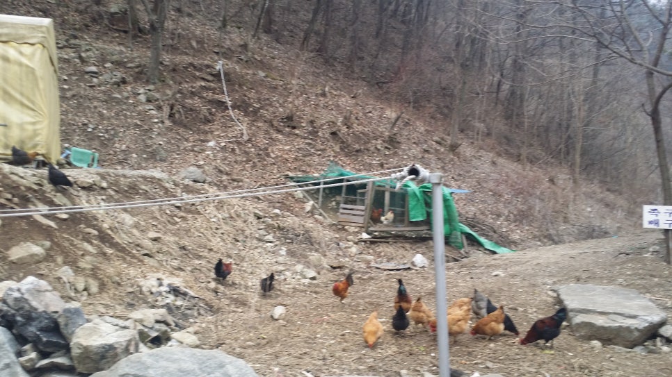 거복 이미지