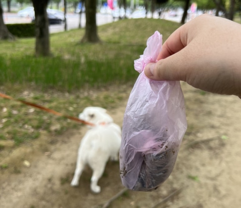 붕어빵아자씨신안점 이미지