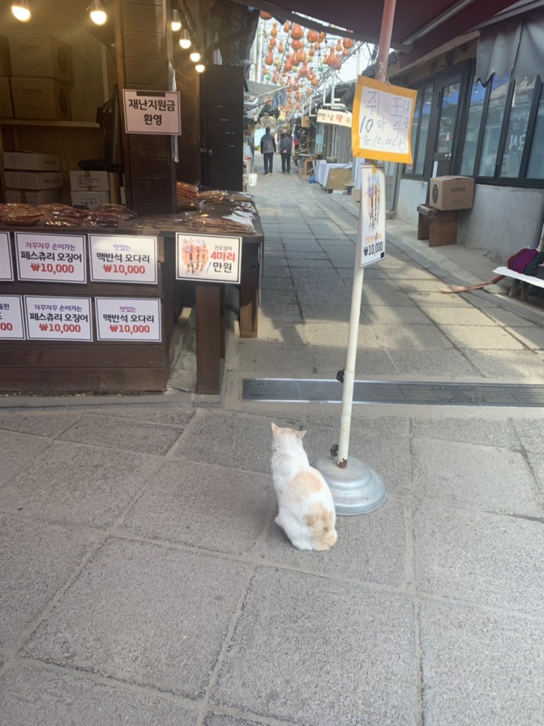 대도건어물 이미지