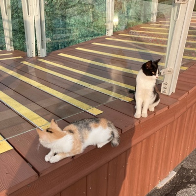 예당떡방 이미지