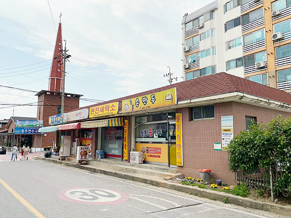 통통손만두 이미지