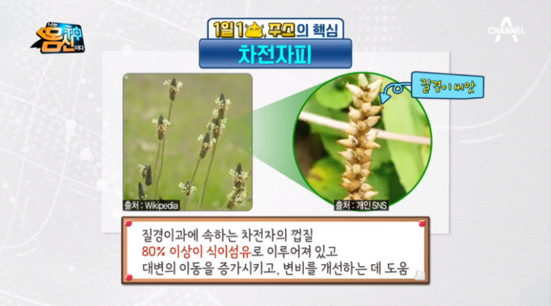 뉴렉스 이미지