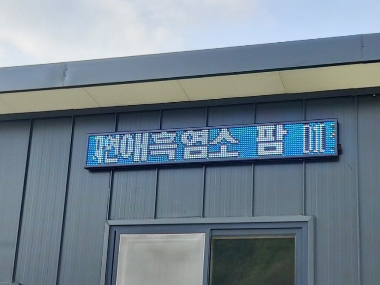 임실흑염소자연애 이미지