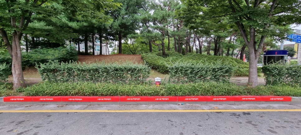 우연시스템 이미지