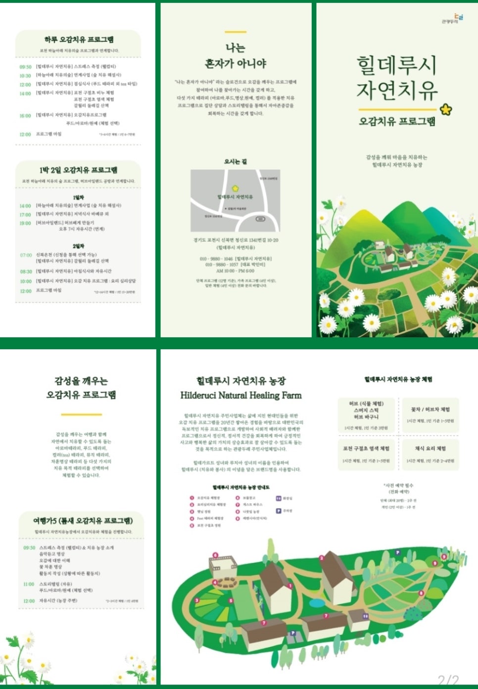 참조자연치유 이미지