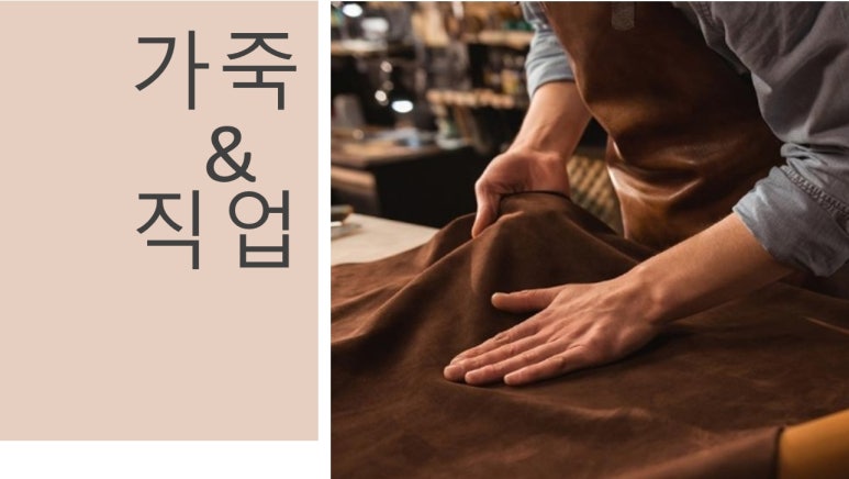 베르시무스 이미지