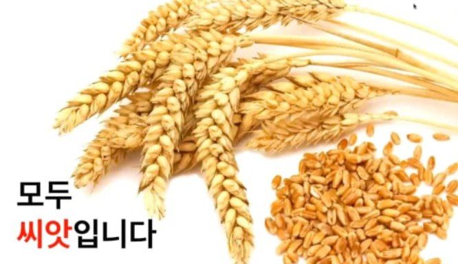 에그앤밀 이미지