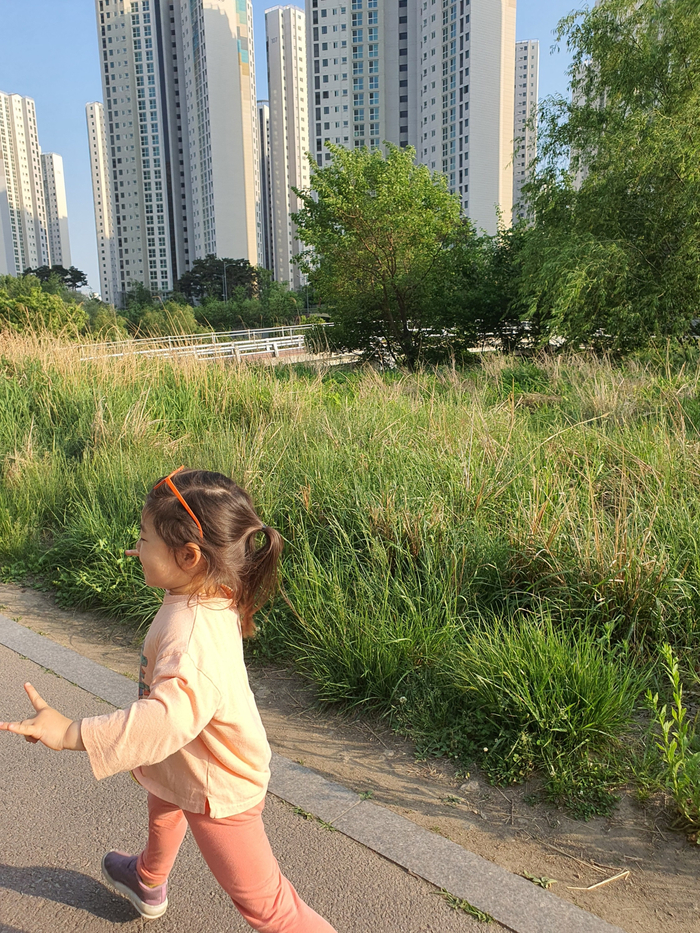 명가통닭 이미지