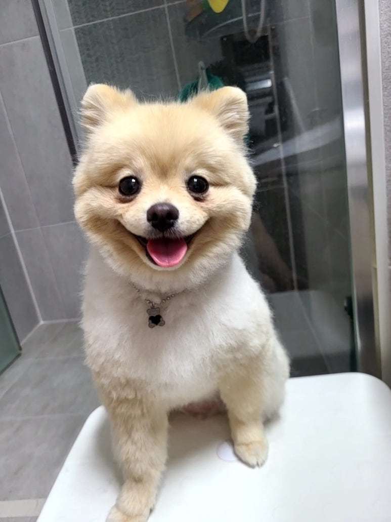 엘커브 이미지