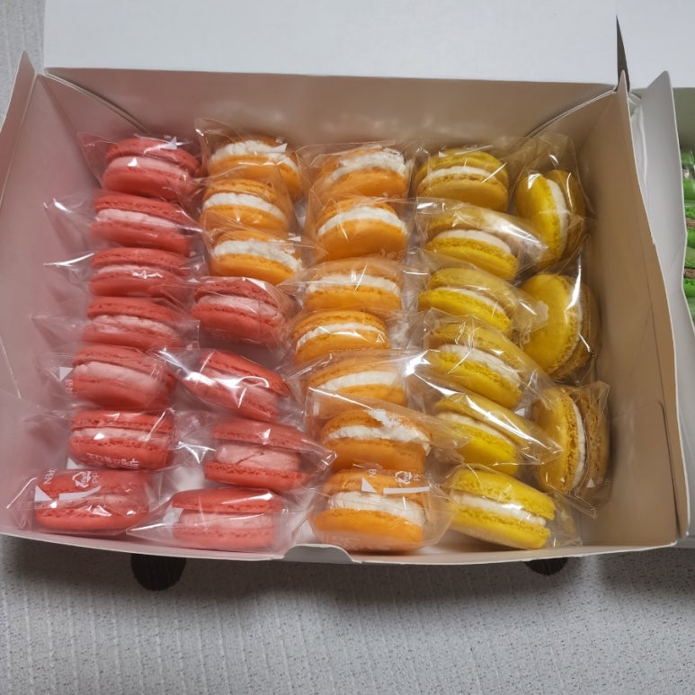 국제브레인협동조합 이미지