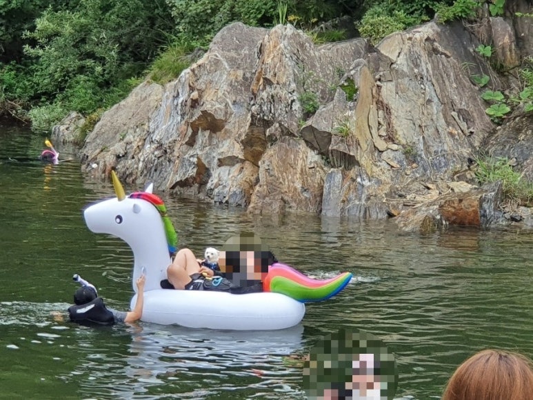 풍전식당 이미지
