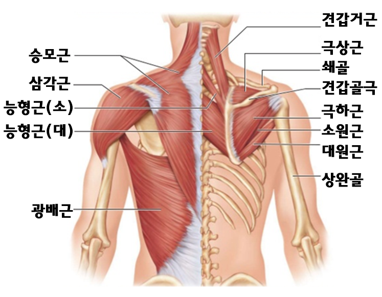 굳짐 이미지
