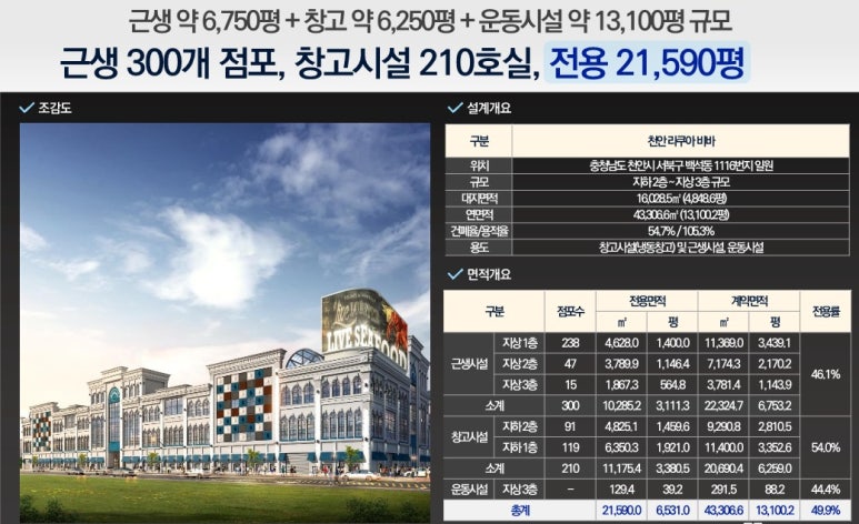 비바휘트니스 이미지