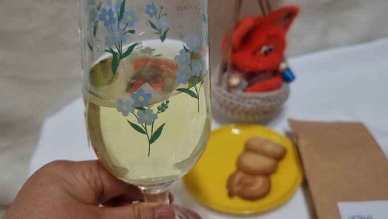 세라비픽 이미지