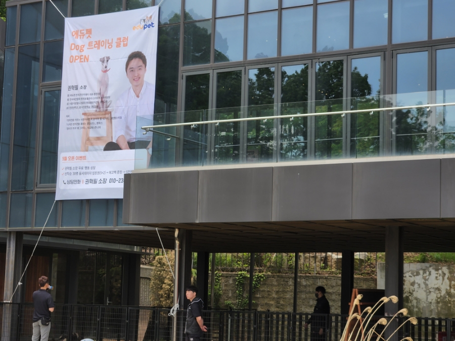 서울 애견카페 스테이지28 웁시데이지 리뉴얼 운동장 — 사진 5