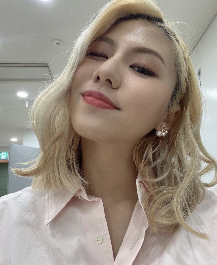 위너디디 이미지