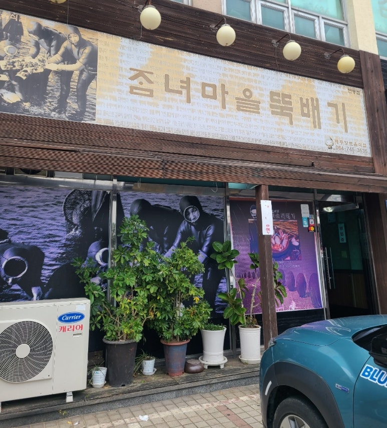 동수카 이미지