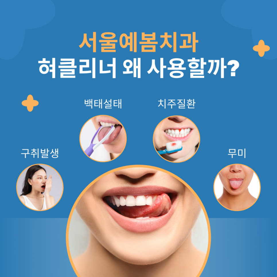서울예봄치과 이미지