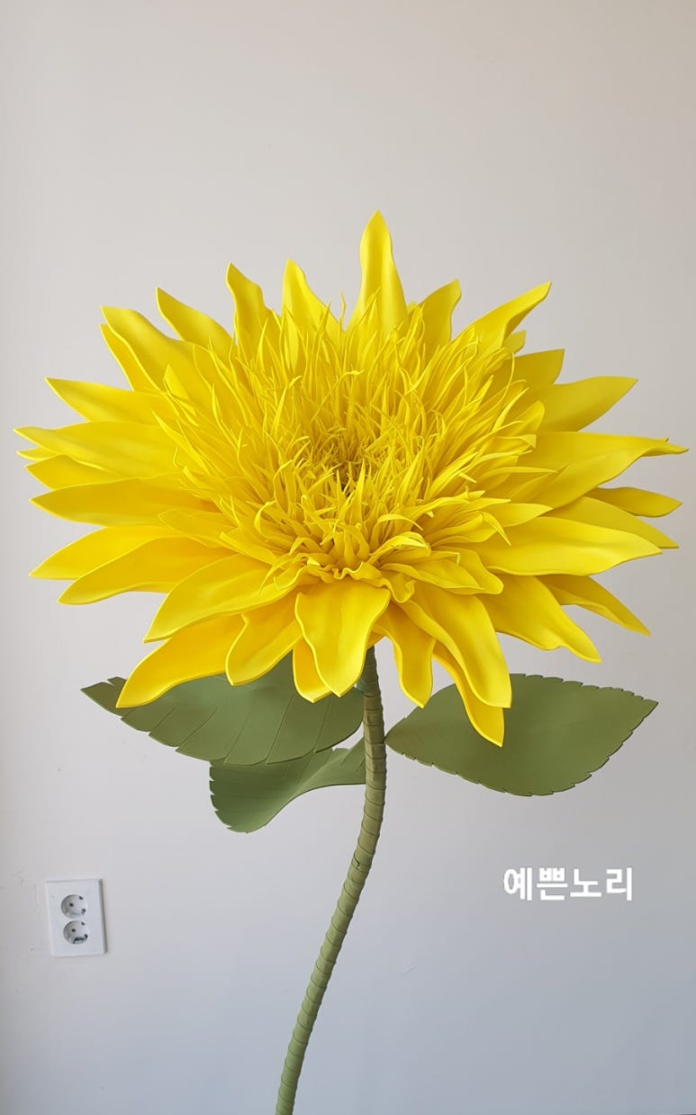 예쁜노리 이미지