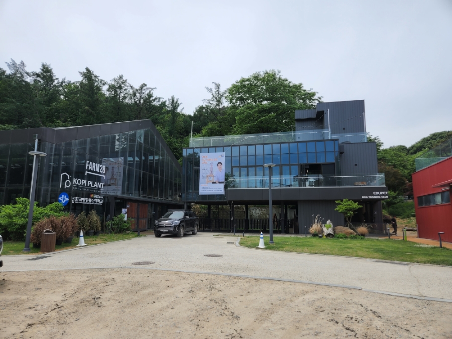 서울 애견카페 스테이지28 웁시데이지 리뉴얼 운동장 — 사진 4