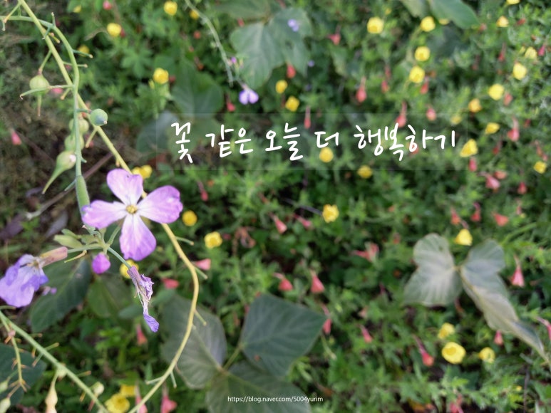 오늘더 이미지
