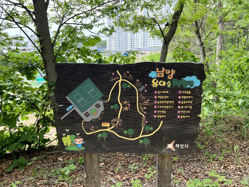 남양 유아숲체험원 이미지