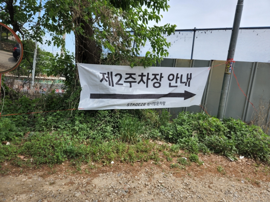 서울 애견카페 스테이지28 웁시데이지 리뉴얼 운동장 — 사진 3