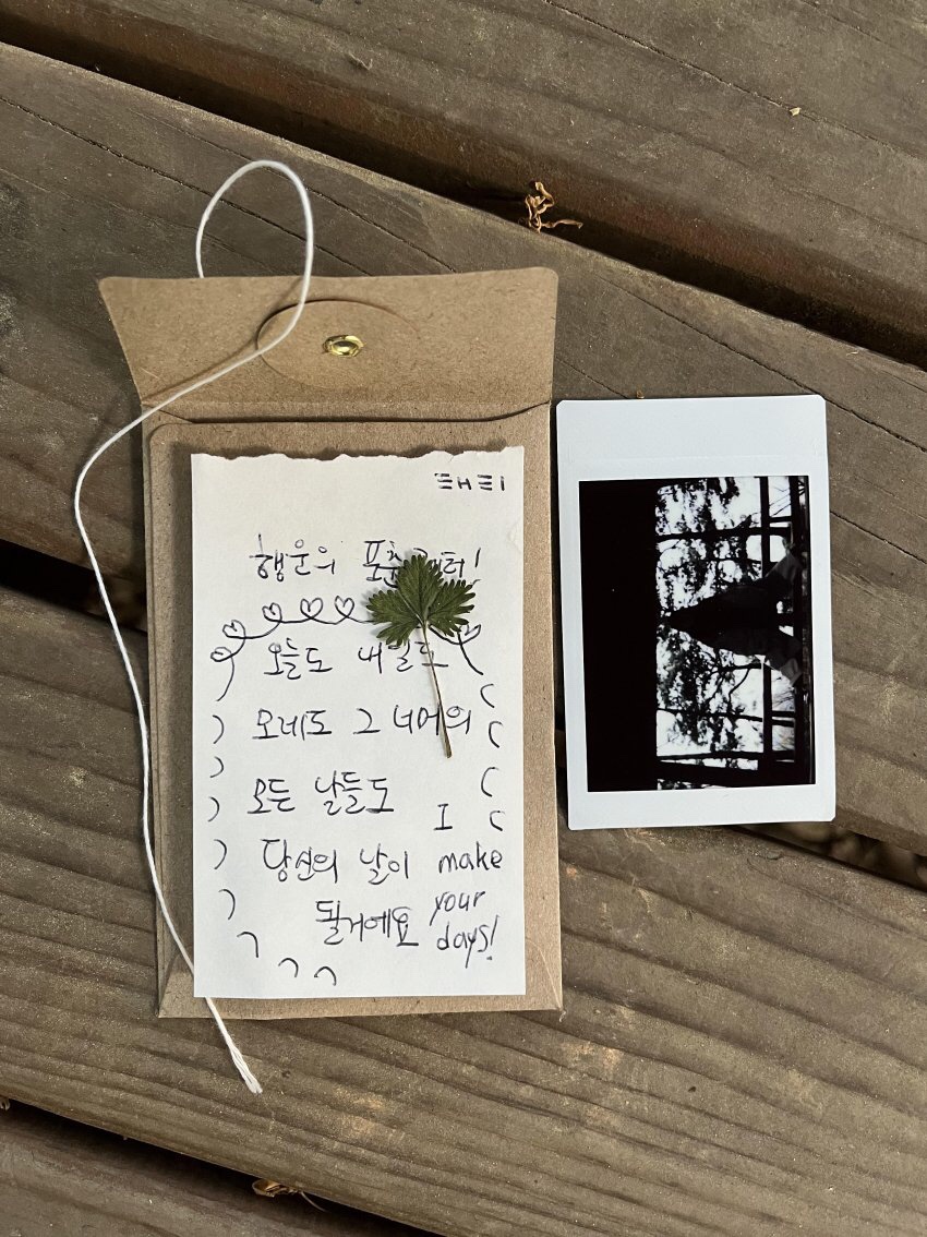 베테랑투어 이미지