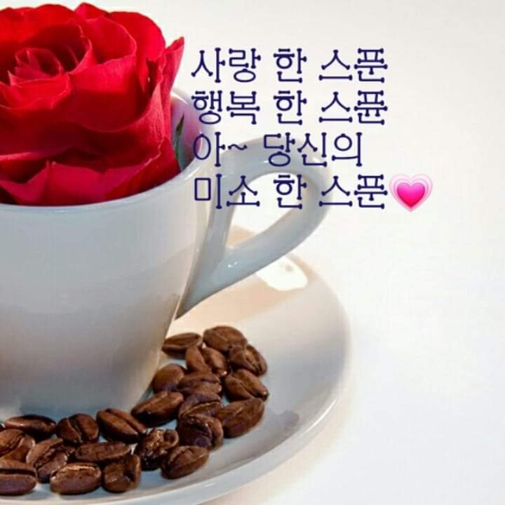 청정지대 이미지