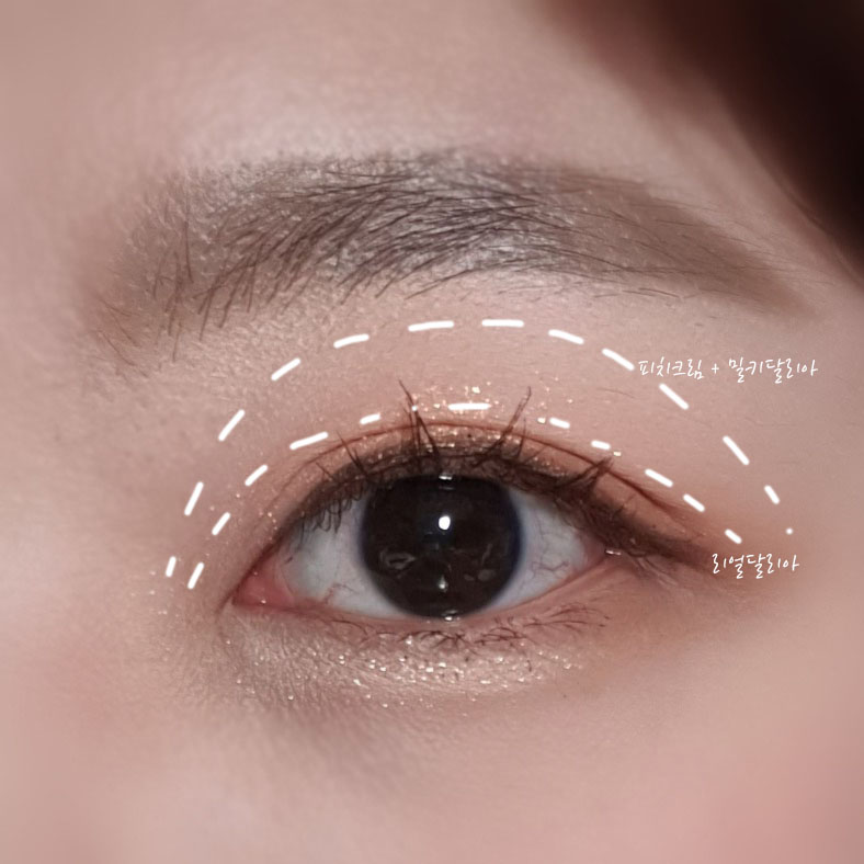 달리아가든 이미지