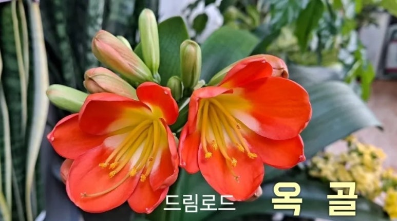 구복바다횟집 이미지