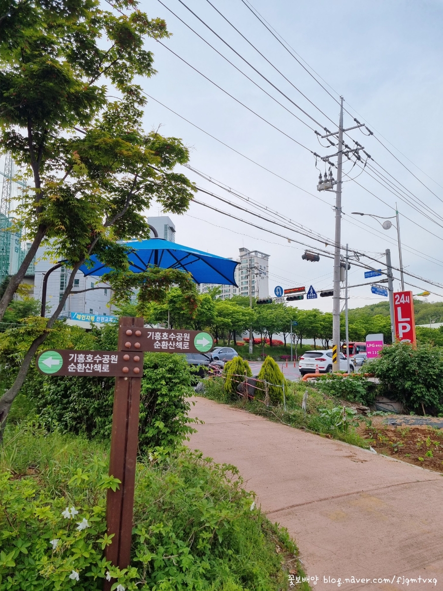 청명산주유소 이미지