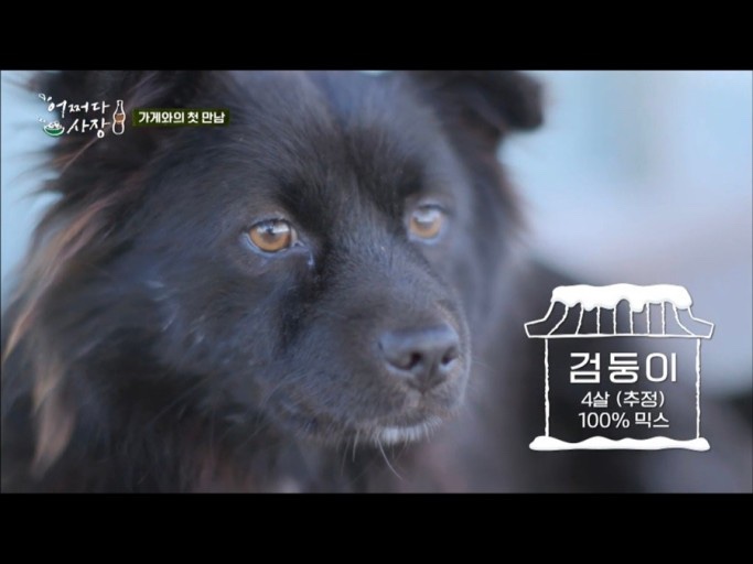 화천휴캠핑장 이미지