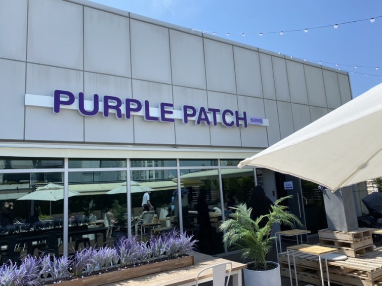 퍼플패치(PURPLE PATCH) 이미지