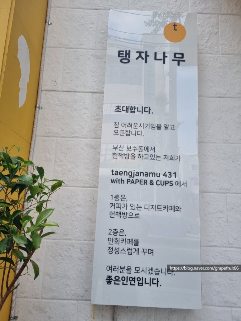 탱자나무431 이미지