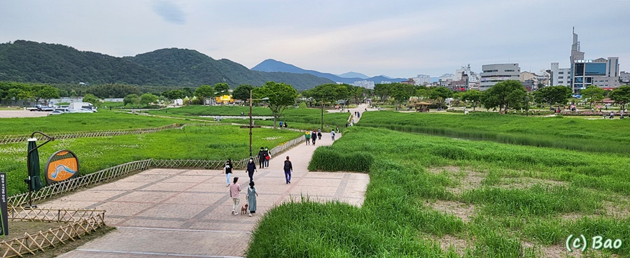 태화강라이브 이미지