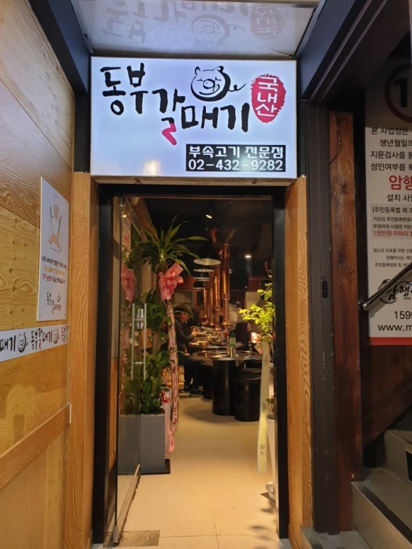 동부갈매기 이미지