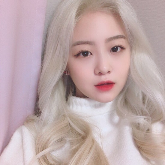 디자인바이닷 이미지
